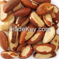 Wholesale Dried Organic Brazil Nuts/Sweet Brazil Brazil Nuts, 100% Best Quality