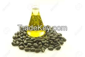 Jatropha Seeds OIL