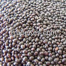 Wholesale and Discount Rape Seeds / Canola Seeds Available...
