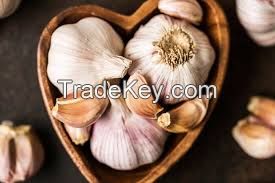 FRESH GARLIC