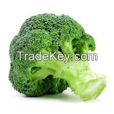 Fresh broccoli/Green broccoli