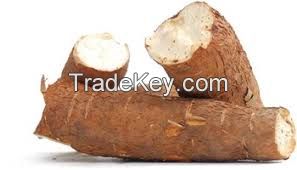 New crop Cassava/ fresh farm cassava..