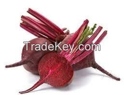 CHEAP WHOLE Sale!Fresh Beetroot/ New harvest 2019 Beetroot for sale and EXPORT/ CHEAP PRICES