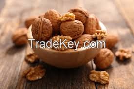 Dried walnuts In Shell walnuts Kernels