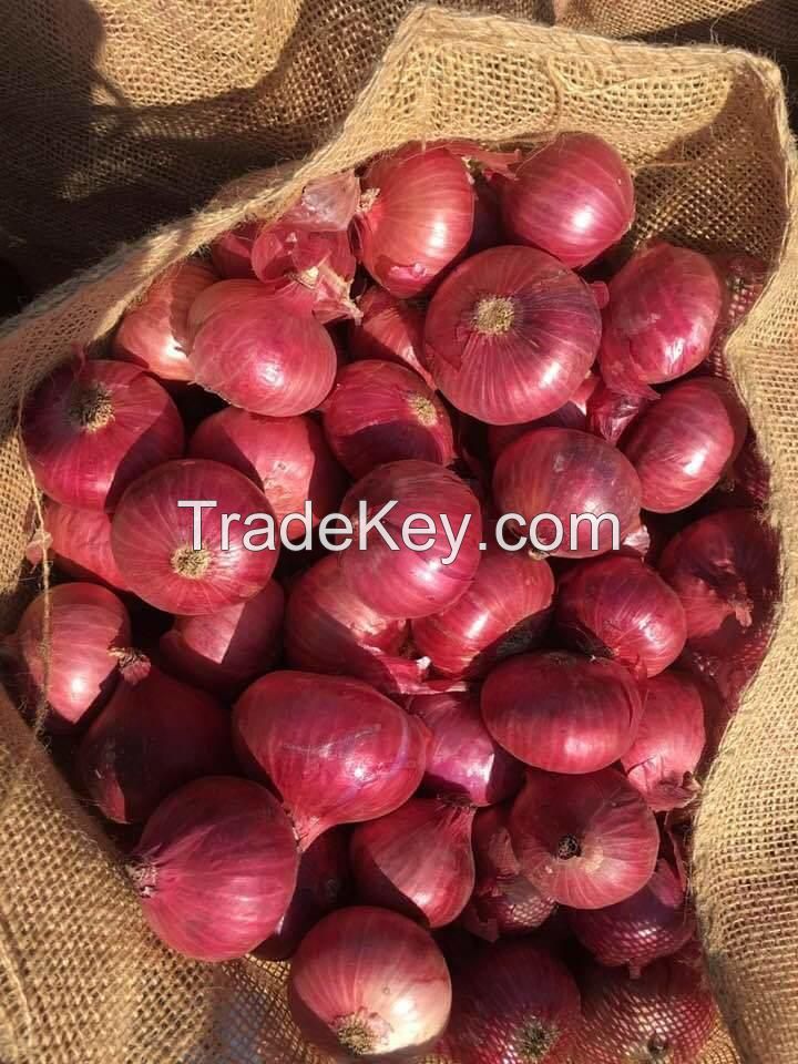 Fresh Red Onions