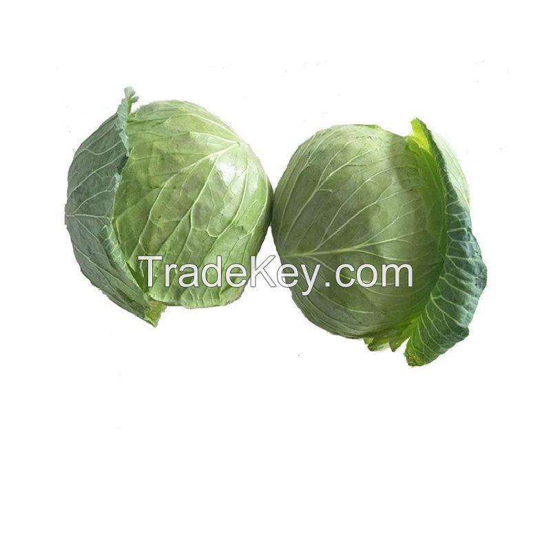 Fresh-Cabbage