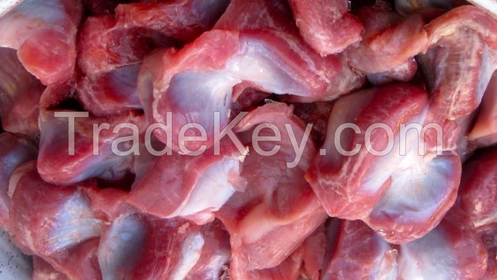 Frozen Chicken Gizzard