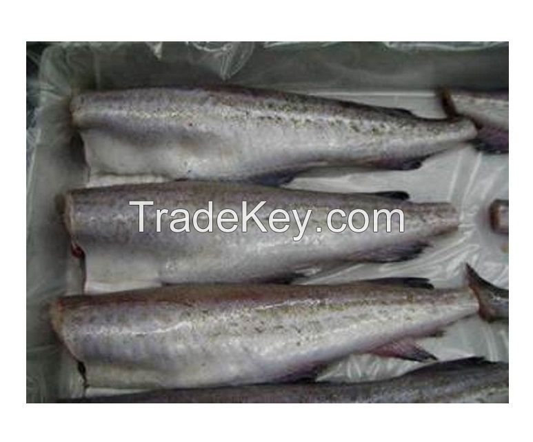 Frozen Pollock (Theragra Chalcogramma)