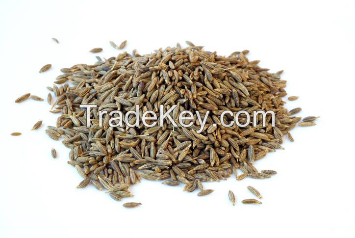 Cumin Seeds (Jeera)