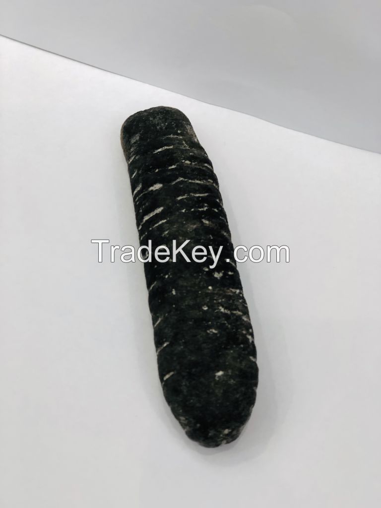Dried Sea Cucumber - High Quality and Best Price