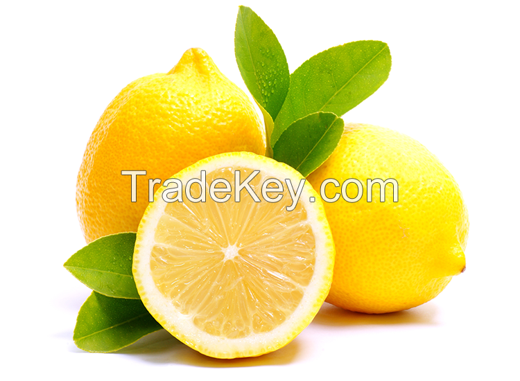 FRESH LEMON FRUIT