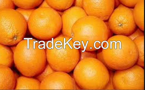 Fresh Oranges