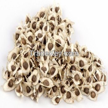 MORINGA SEEDS FOR SALE