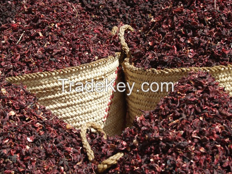 Dried Hibiscus Flower, Dried Hibiscus Flower Powder, Affordable Dried Hibiscus Flower, Quality Dried Hibiscus Flower Powder