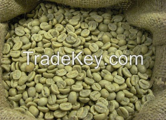 supply green bean coffee