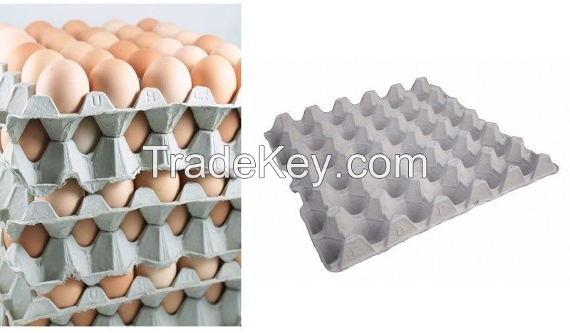 Paper Egg Trays