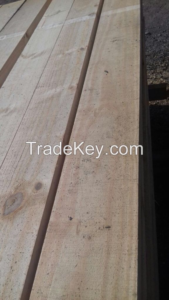 CHEAPES  WOOD TIMBER FROM BRAZIL