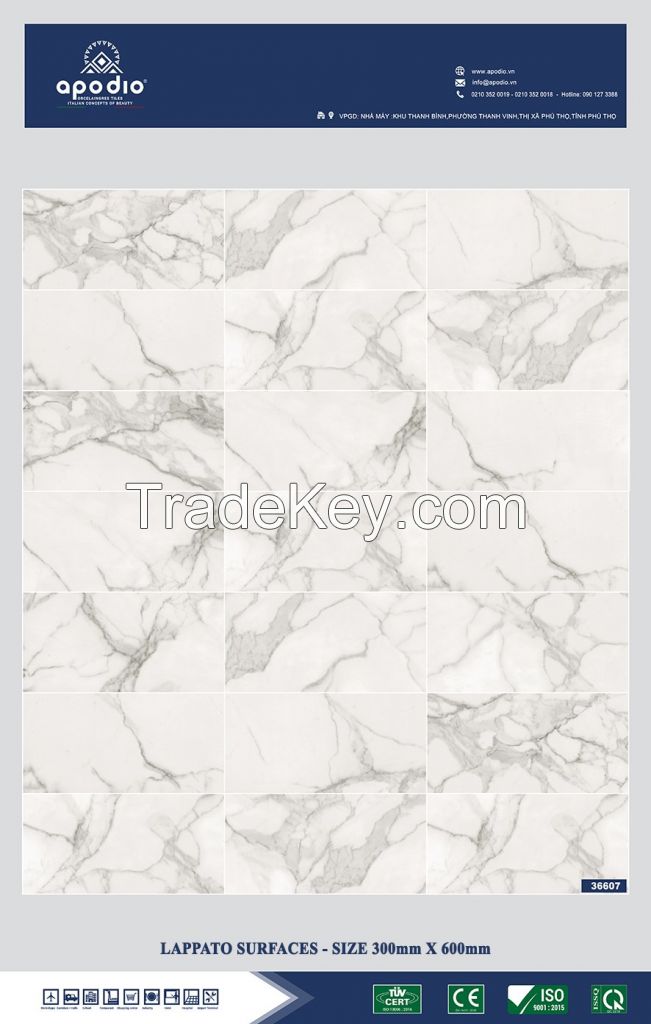 APODIO PORCELAIN TILE 300 x 600 - in Vietnam For Sale