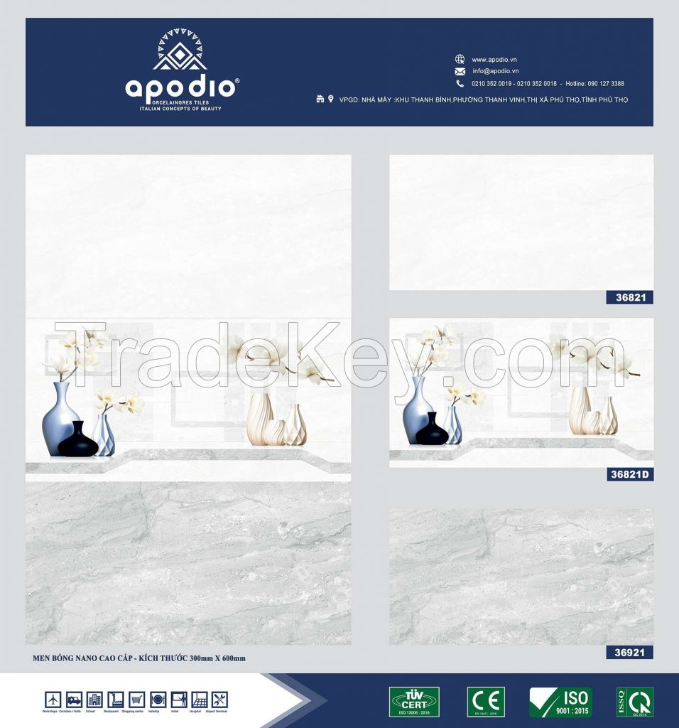 APODIO PORCELAIN TILE 300 x 600 - in Vietnam For Sale