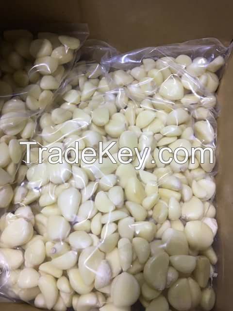 Garlic with low price