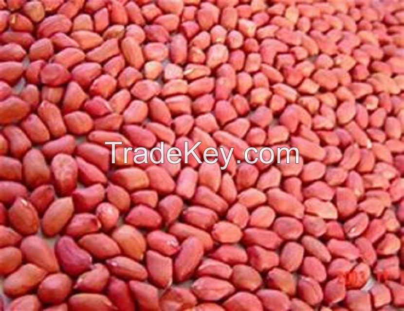 Red Skinned Peanuts Up to 10, 000 MT available only $750 MT