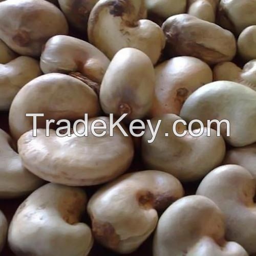 Selling Best Quality Raw cashew