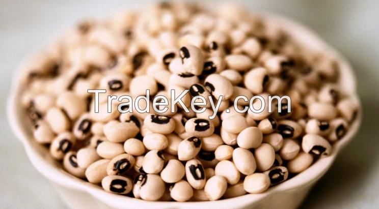 Selling High Quality Black-eyed beans (Nigerian)