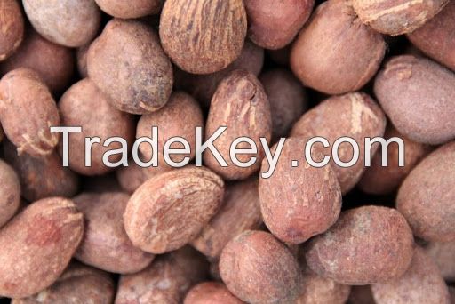 Selling High Quality Shea Nuts