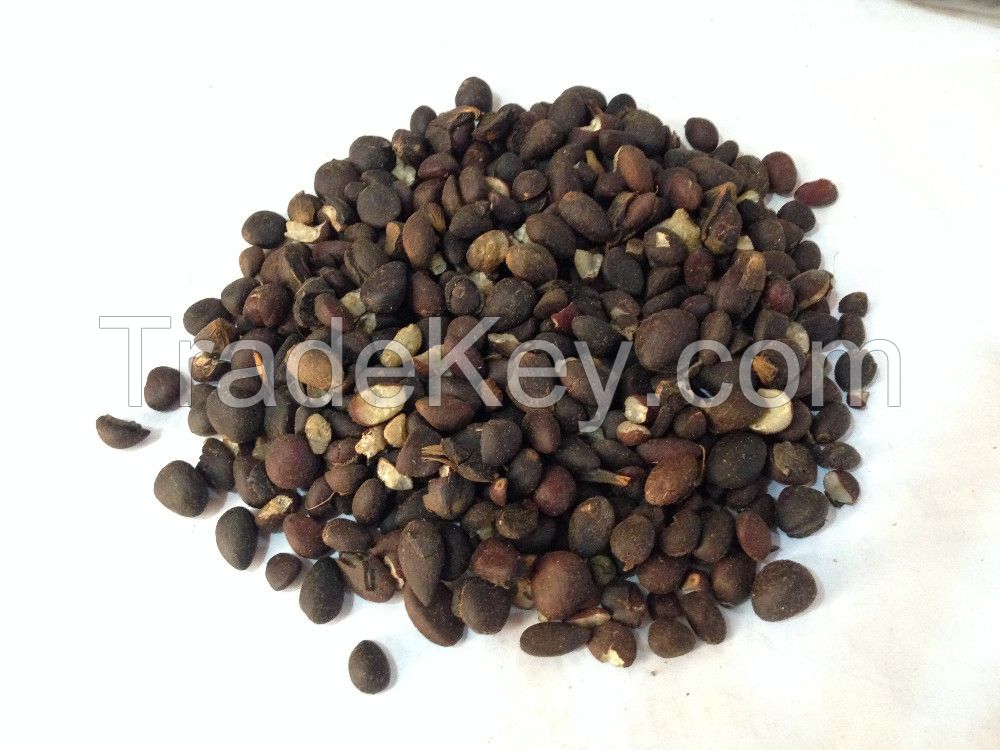 Selling Palm Kernel Nuts