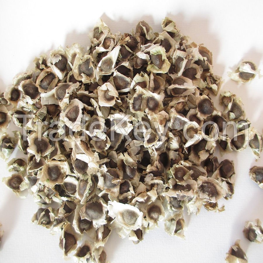 High Quality Nigerian Moringa Seeds