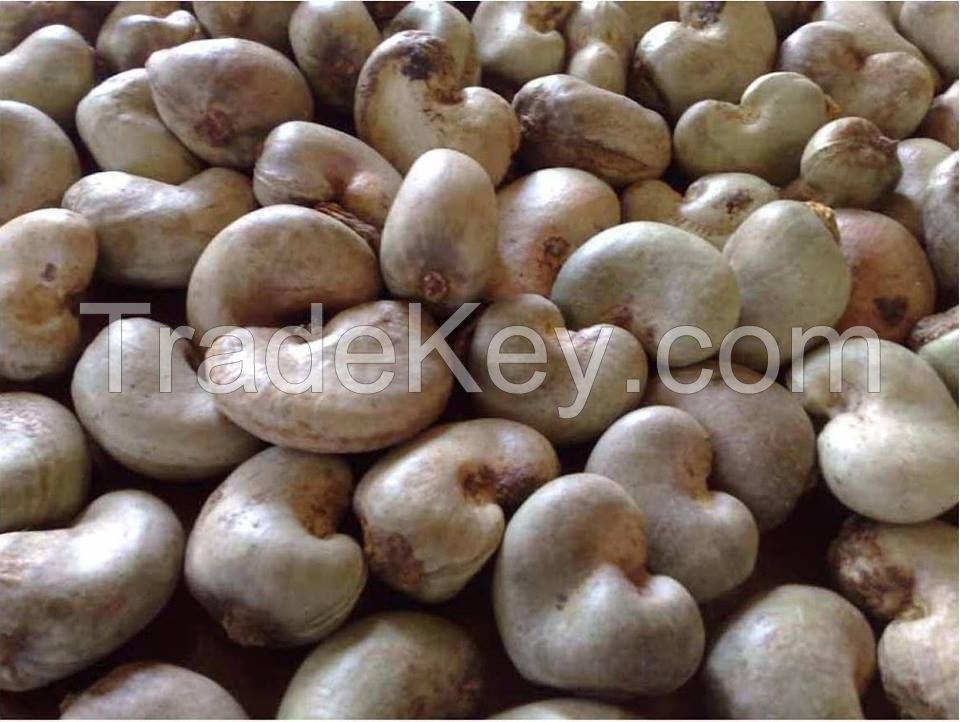 Raw Cashew Nuts