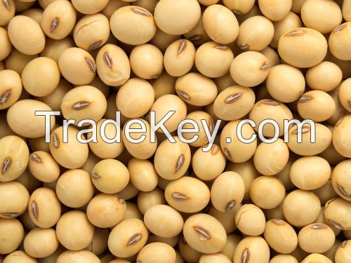 Soybeans  Non-GMO Soybeans