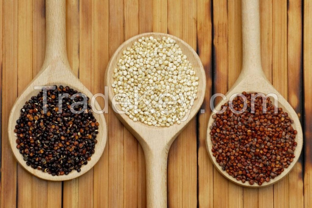 PERUVIAN QUINOA SUPPLIER