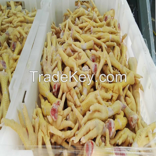 Unprocessed frozen halal chicken feet and chicken paws