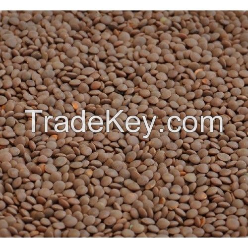 Sell Canadian Whole Red Lentil and yellow pea