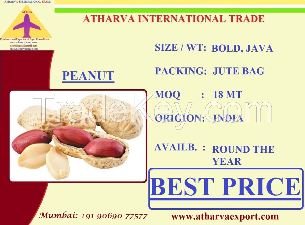 BEST PEANUT GROUNDNUT FROM INDIA