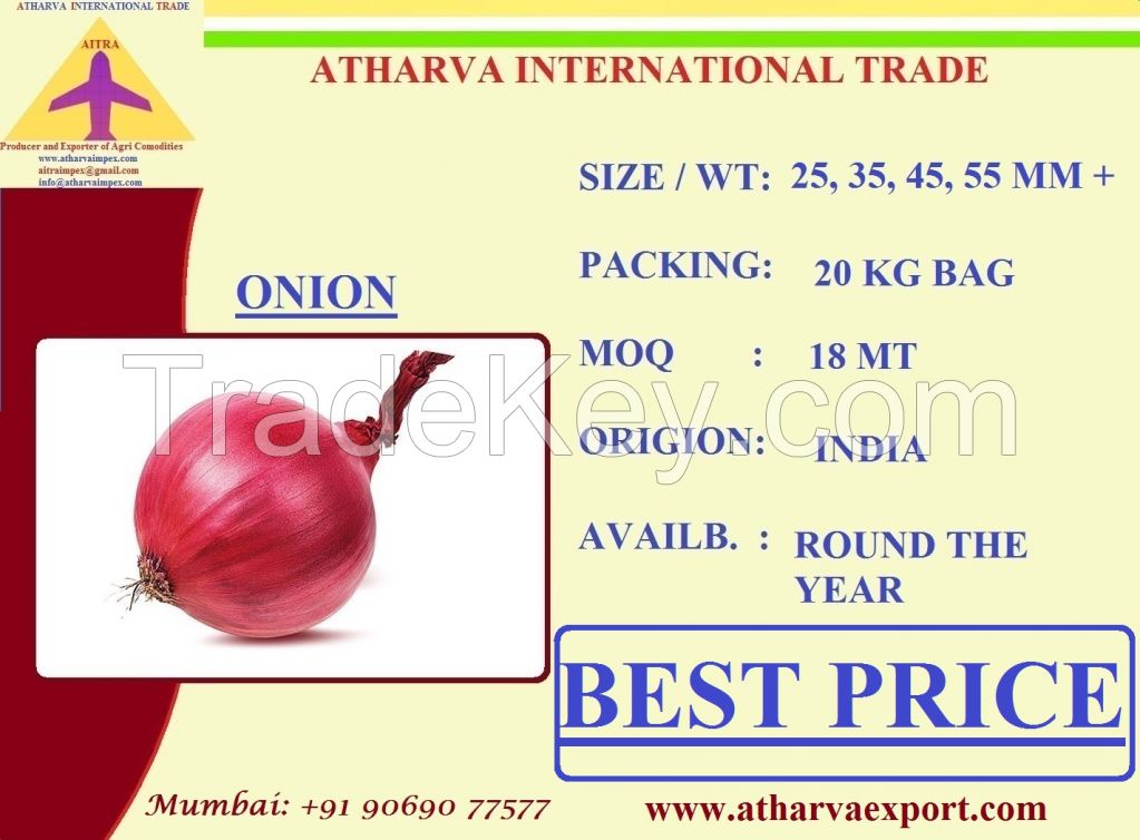 BEST FRESH RED ONION FROM INDIA