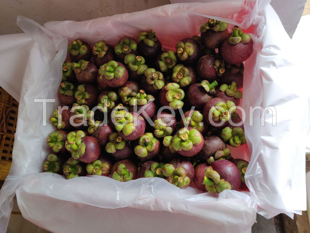 Indonesian Fresh Mangosteen fruit