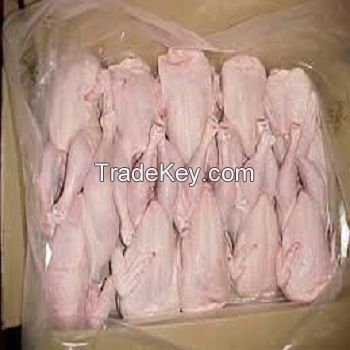 chicken, Halal Chicken Feet / Frozen Chicken Paws Brazil / Fresh chicken wings for export