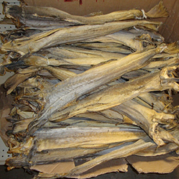 Dried Stockfish Cod, Saithe, Cod Fish, Head - Stockfish