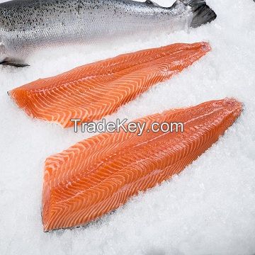 Buy Fresh and Frozen Atlantic Salmon Fish/Whole frozen salmon/Salmon Head