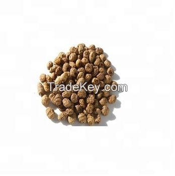 Organic Tiger nuts Fresh Tiger Nuts Chufa Nut