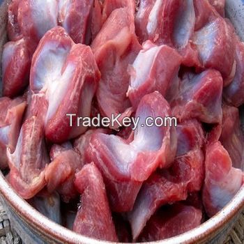 Affordable Frozen Halal Chicken Gizzards