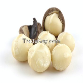 Macadamia Nut (Shell and Shell Off) - Best Price and Quality.