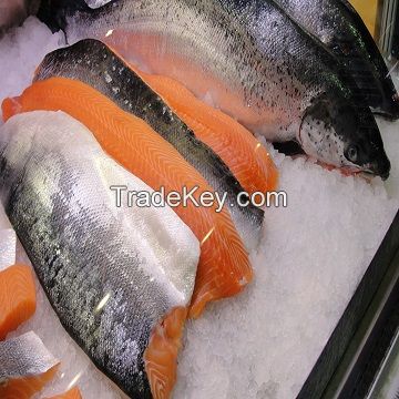 Fresh Frozen Salmon Fish for sale.