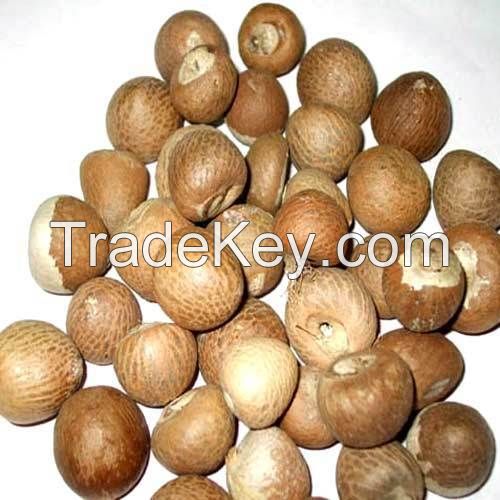 fresh betel nut for sale /areca nut plates