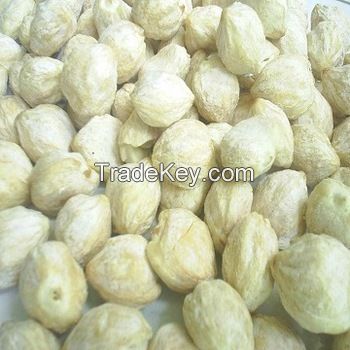 CANDLE NUT EXPORT QUALITY FROM INDONESIA