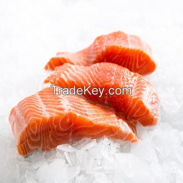 Frozen Salmon Fillet, Fresh Frozen Salmon Fish , Frozen Chum Salmon Fillet for sale