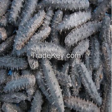 DRIED SEA CUCUMBER