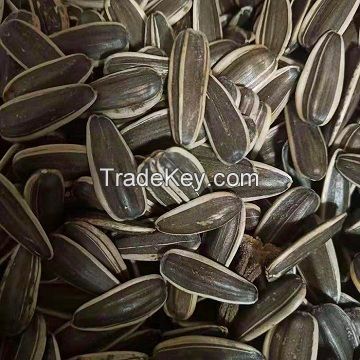 the top quality of new crop 2019 sunflower seeds type no.601